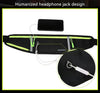 WILDHORN Running Waist Bag for Men & Women
