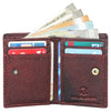 WildHorn RFID Protected Genuine Leather Wallet for Men