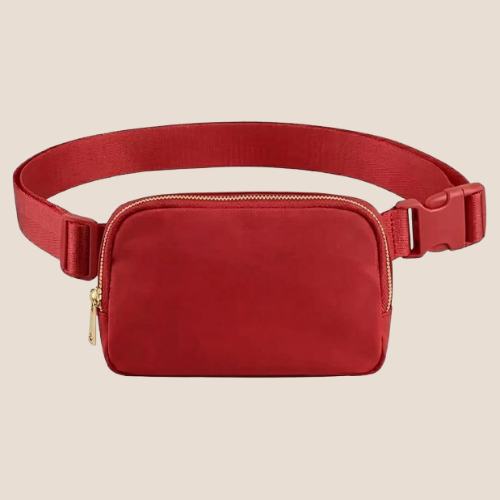 WILDHORN Nylon Waist Bag for Women