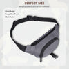 BRAMPTON Waist Bag for Men Women - WILDHORN